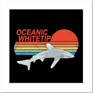 Oceanic whitetip shark Posters and Art